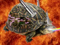images/turtle-after.jpg