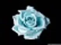 roselb.jpg