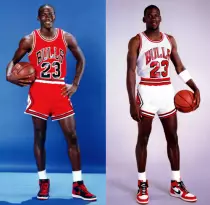 mj.jpg
