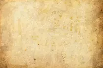 fondo.jpeg