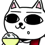 nekojiru_400x400.png