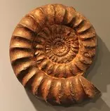 Modulo2/Imagen/prehistoria3.jpg