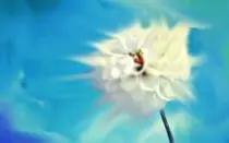 flower edited.jpg