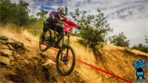 images/dw1.png