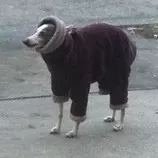tumblr_inline_nz6d5p0N5K1r4ckh9_500.jpg
