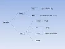 images/arbol.jpg