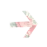 enter.png