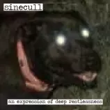 merch/SP13B.jpg