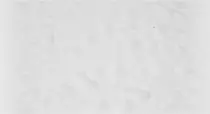 SandBackground.jpg