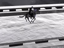images/horserunbig.jpg