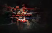 floyd_mayweather_jr_widescreen_wallpaper-1280x800.jpg