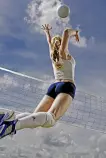 ProyectoB3/otras/volleyball-steve-williams.jpg