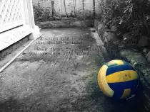 ProyectoB3/otras/volleyball_quote_by_anchut-d5dd9p2.jpg