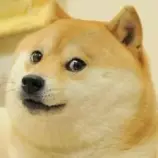 images/doge.jpg
