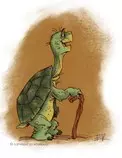 ts/img/turtle_5.jpg