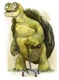 ts/img/turtle_7.jpg