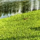 Bootstrap Example_files/bench_on_the_river_bank-7.jpg