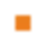images/li.gif