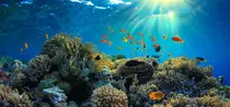 Proj5-bootstrap/imgs/redsea.jpg