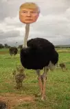 imagesasdasd.jpg