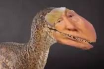 trum velociraptor.jpg