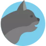 minecraft(app)/cat.png