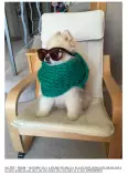 tiny scarf dog.png