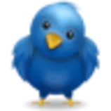 images/bird.png