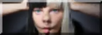 img/SIAPLS.png