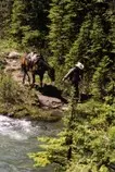 005cowboyhorse.jpg