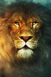 Aslan-Narnia-320x480.png