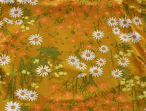 background.jpg