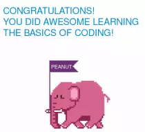 peanut2.png