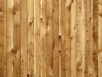 background.jpg