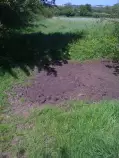 img1.jpg