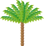 palmtreevector.png