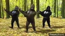 g-dance.gif
