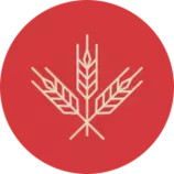 cafe olso/imagenes/Icono4.png
