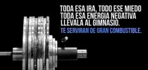 imagenes/tex2.jpg