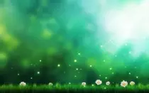 Wonderful-Plain-Wallpaper.jpg