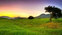 summer_nature_grass_beautiful_light_84335_1920x1080.jpg