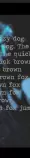 about - images/about_11.gif
