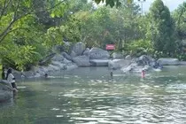kolam.jpg