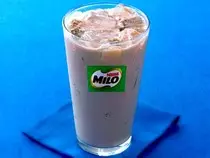 milo.jpg