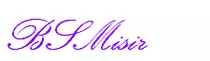 bsm/img/bsm.png