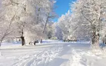Practica1/img/nieve.jpg