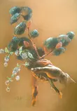 images/crimson-hyssop.jpg