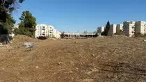 images/lot.jpg