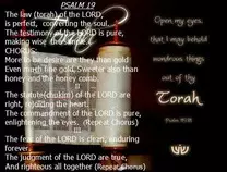 images/torah.jpg