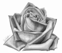 practicas/imagenes/images (11).jpg
